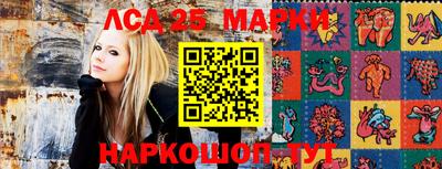 молекула духа Краснодар