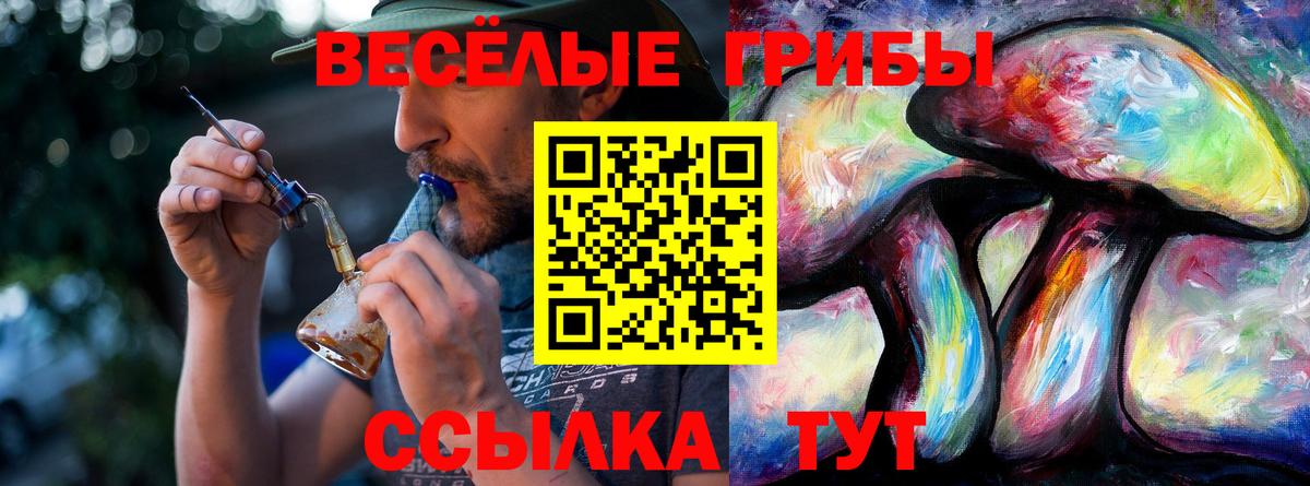 Псилоцибиновые грибы ЛСД  Вход с VPN  Камышин 